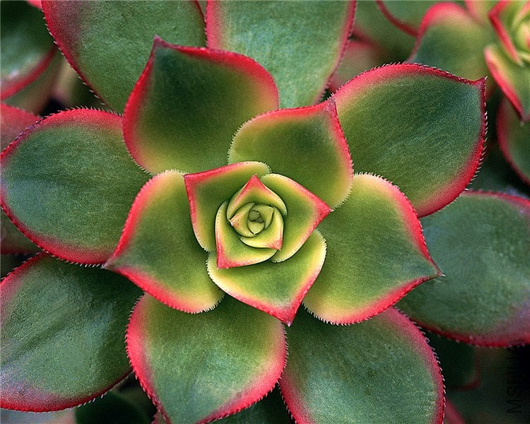 S8F220.jpg