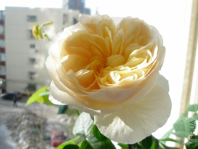 PB140036.JPG