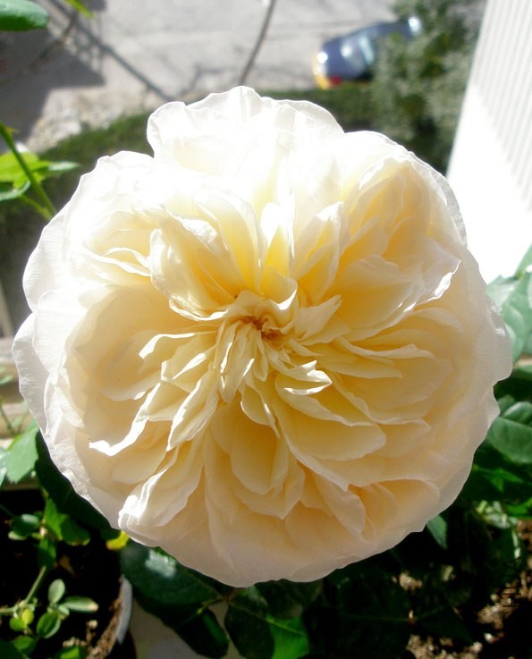 PB160072.JPG