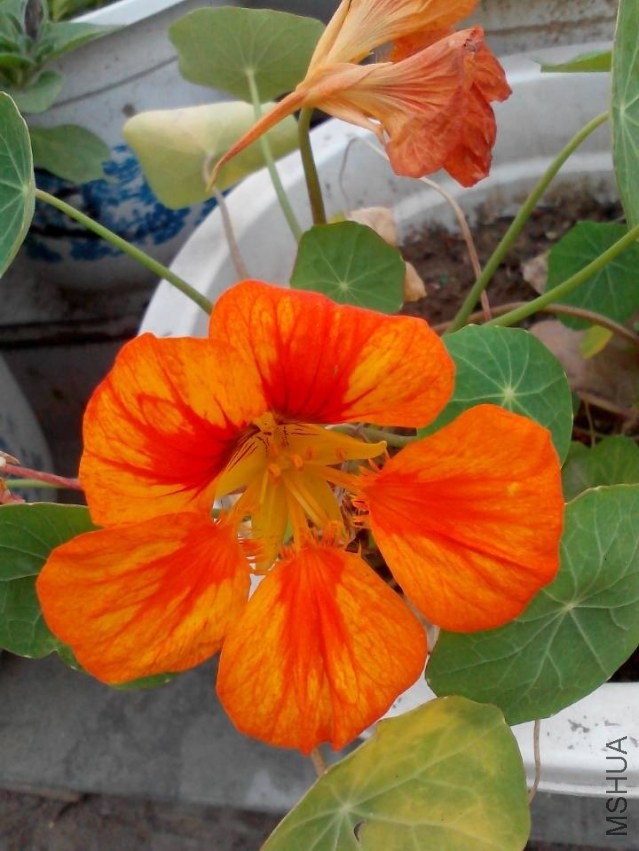 QQͼƬ20131122090505.jpg