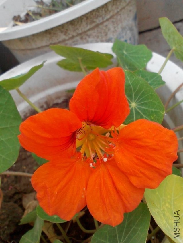 QQͼƬ20131122090525.jpg
