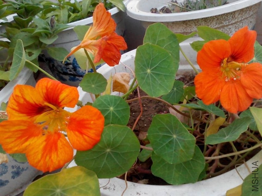 QQͼƬ20131122090516.jpg