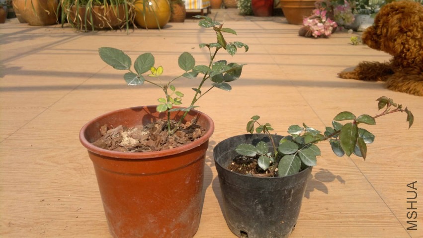 201311222355.jpg