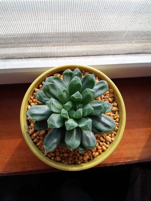 ˳���ҵ�����¶���ջ�������ϣ����쳤��