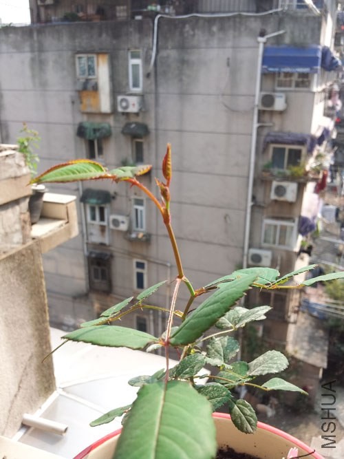 �����ҵ����DŶ�������ˣ������и������ˣ����ǿ���ûѽ