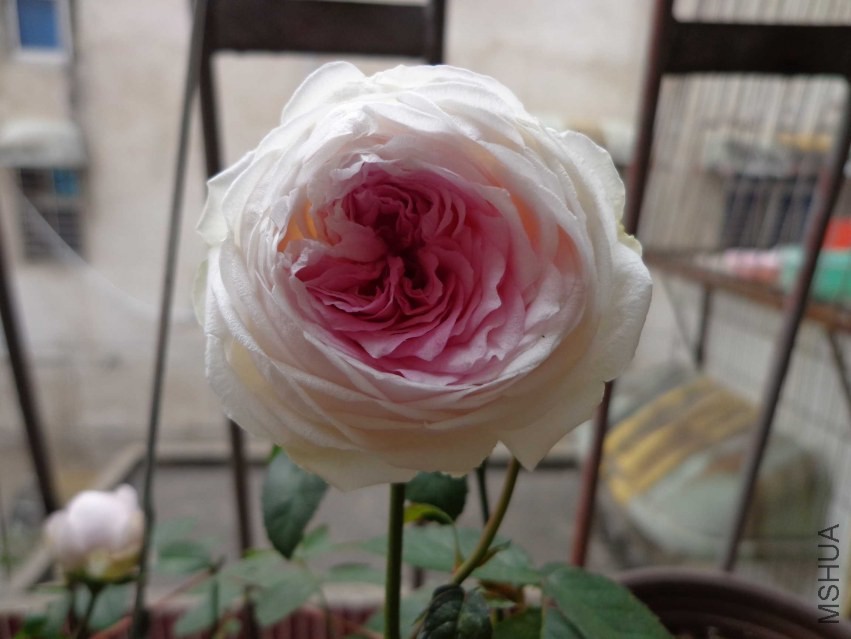 DSC00400.JPG