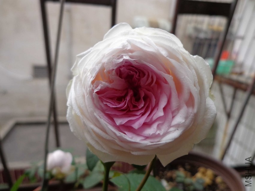 DSC00401.JPG