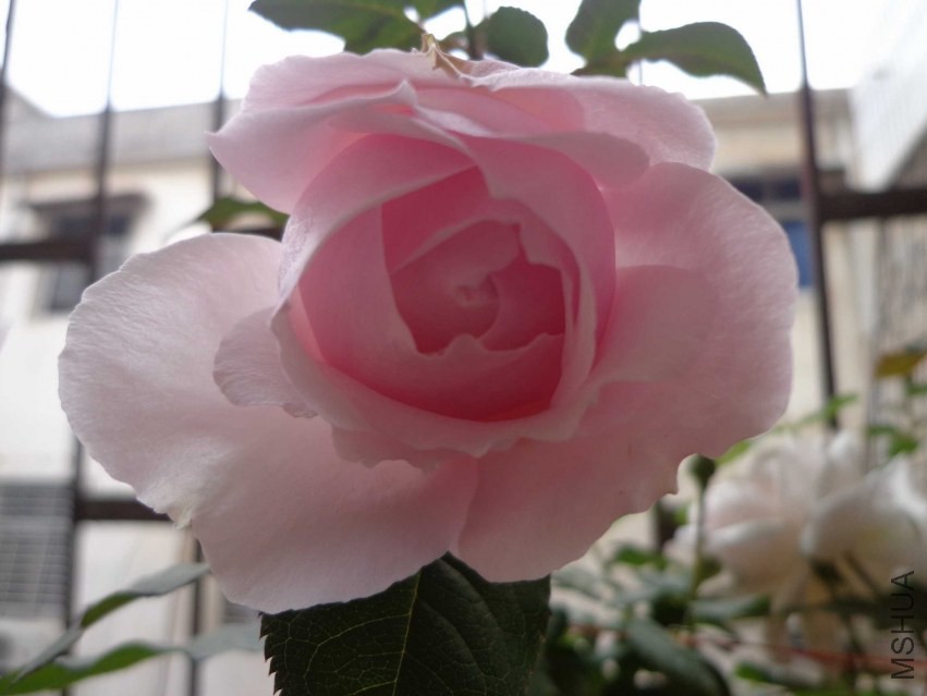 DSC00402.JPG