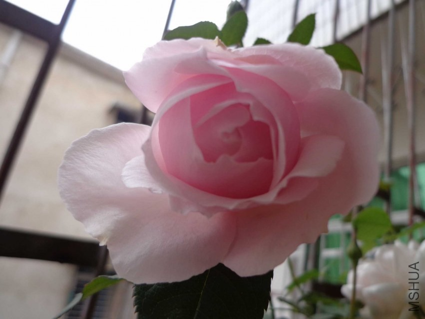 DSC00404.JPG