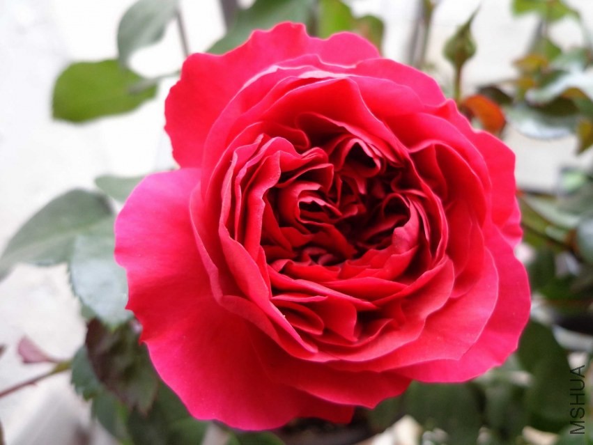 DSC00408.JPG