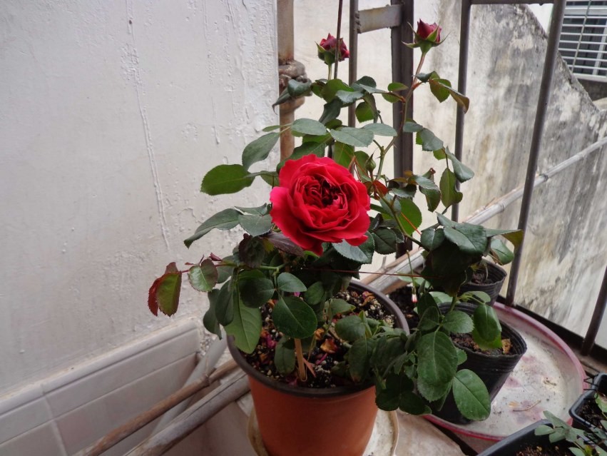 DSC00410.JPG