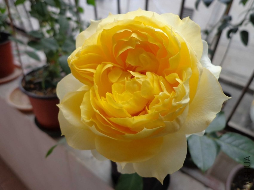 DSC00405.JPG