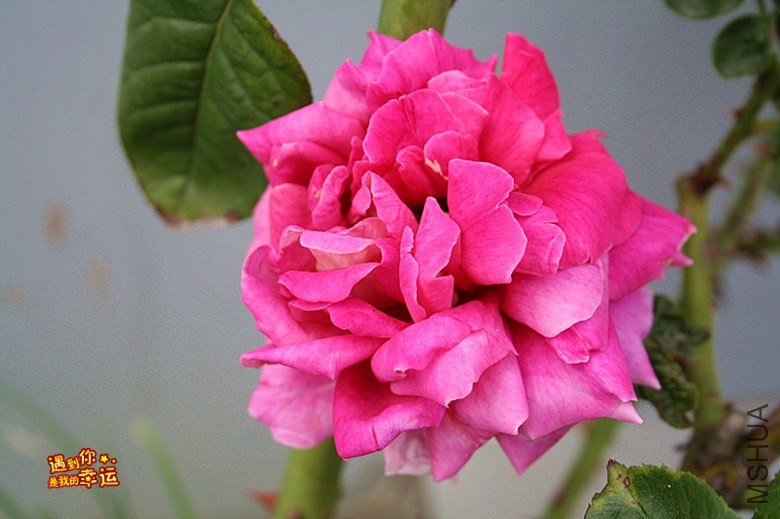 ��Ƭ 063_����.jpg