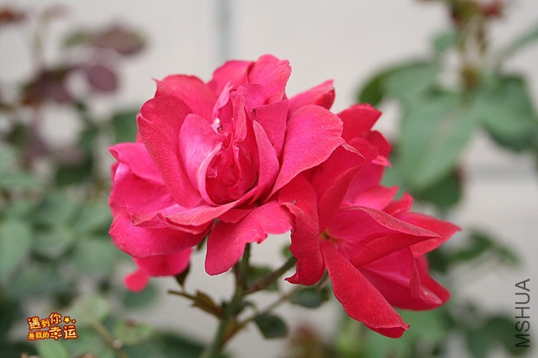 ��Ƭ 064_����.jpg