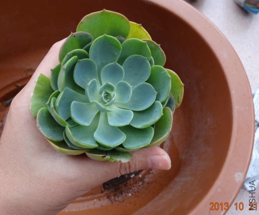QQ��ͼ20131122155146.jpg