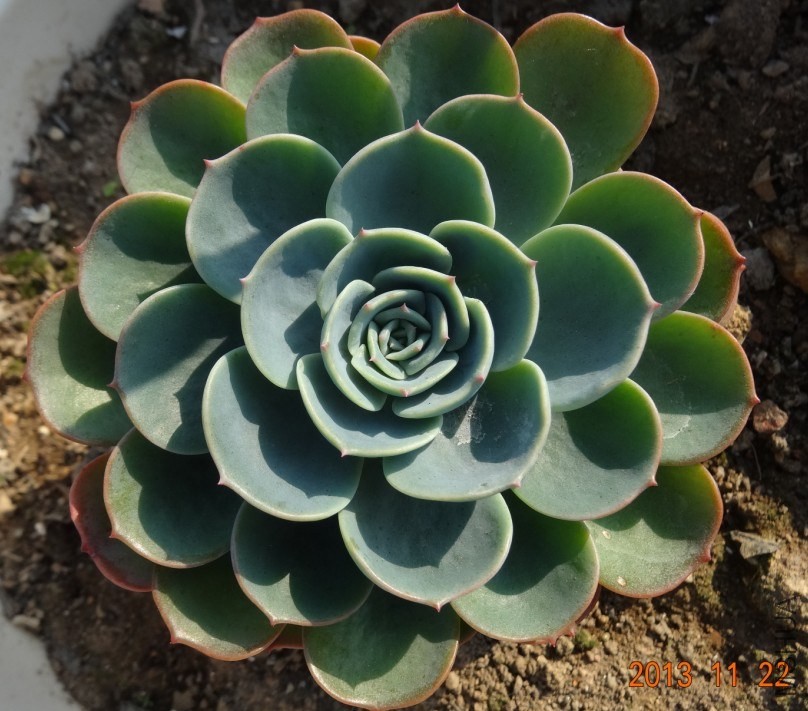 QQ��ͼ20131122155131.jpg