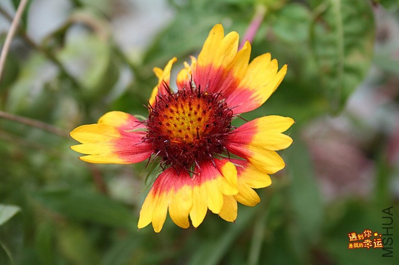 ��Ƭ 055_����.jpg