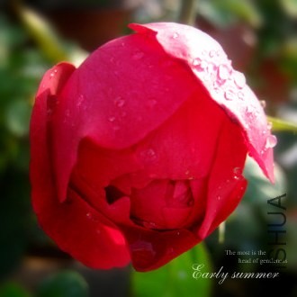 IMG_0010f (26)����.jpg