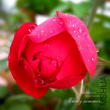 IMG_0010f (46)����.jpg