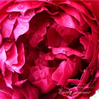 IMG_0014f (5)����.jpg