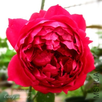 IMG_0014f (12)����.jpg