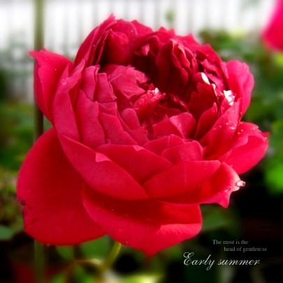 IMG_0014f (32)����.jpg