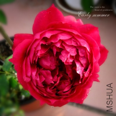 IMG_0014f (33)����.jpg