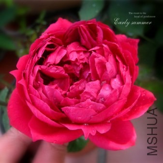 IMG_0014f (34)����.jpg