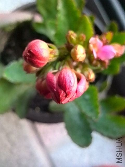 IMG_20131105_165714.jpg