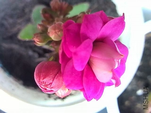 IMG_20131122_141705.jpg