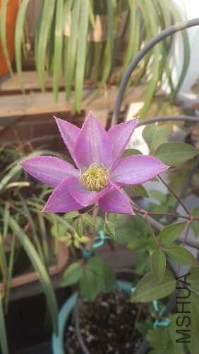 20131123_074556.jpg