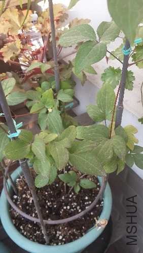 20131123_074812.jpg