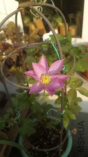 20131123_074639.jpg