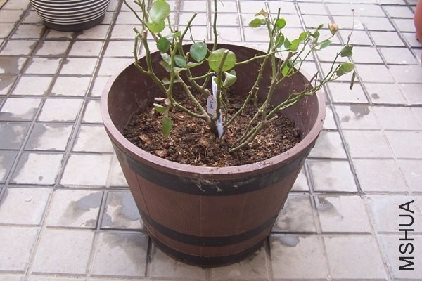 100_2003.jpg