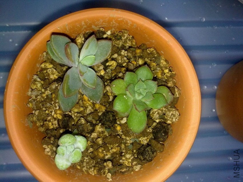 20131121185.jpg