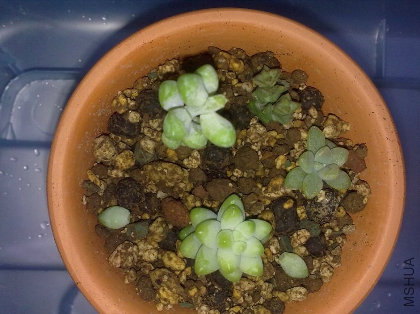 20131121186.jpg