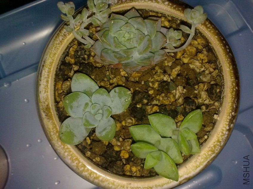 20131121187.jpg