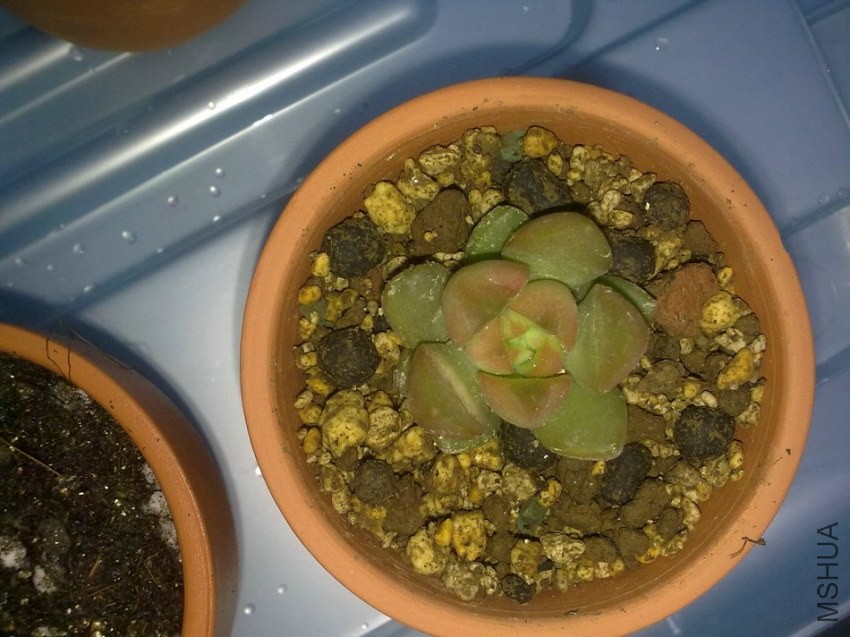 20131121188.jpg