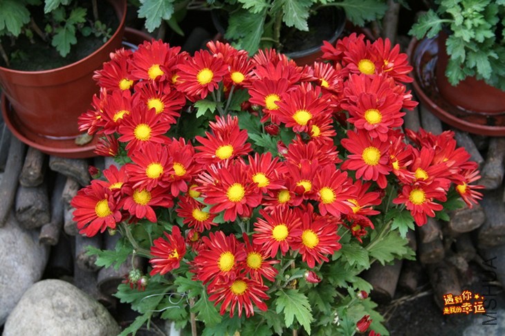 ��Ƭ 137_����.jpg