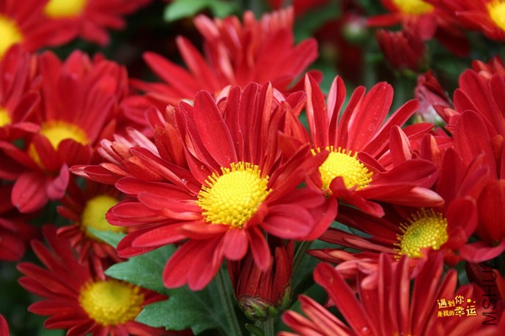 ��Ƭ 139_����.jpg