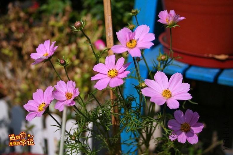 ��Ƭ 126_����.jpg