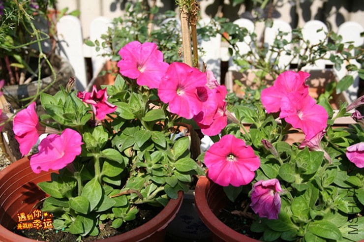 ��Ƭ 131_����.jpg