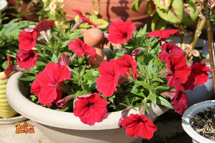 ��Ƭ 133_����.jpg