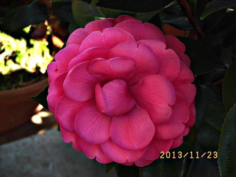 �ґc��a4.JPG