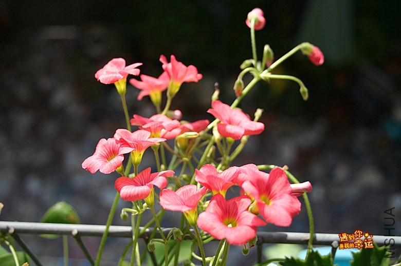 ��Ƭ 001_����.jpg