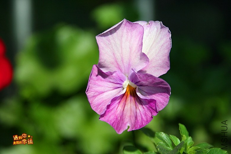 ��Ƭ 048_����.jpg