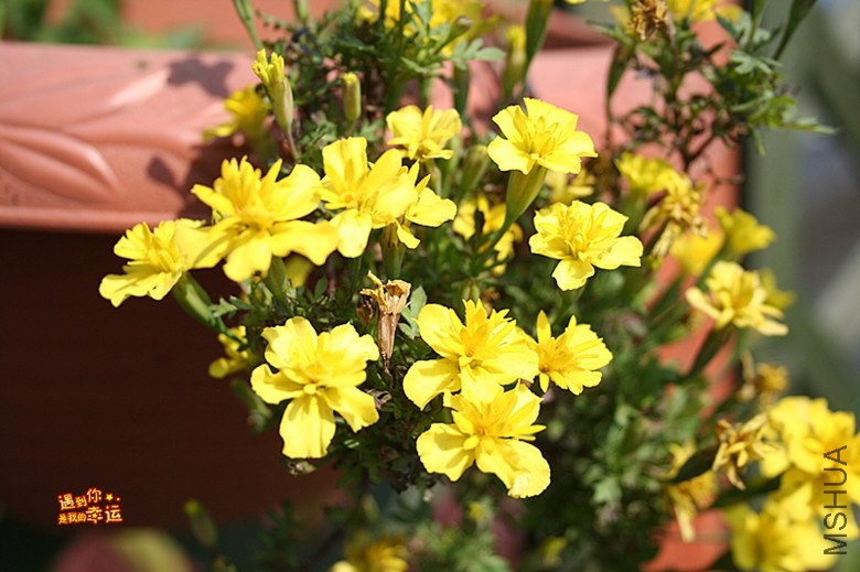 ��Ƭ 070_����.jpg