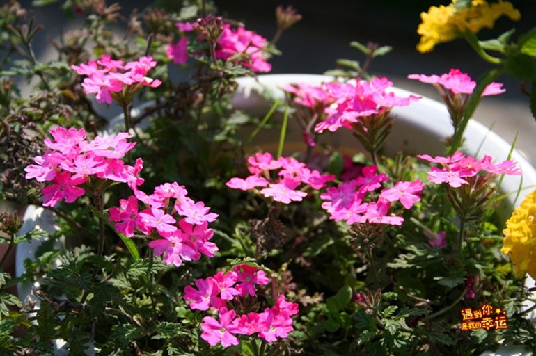 ��Ƭ 051_����.jpg