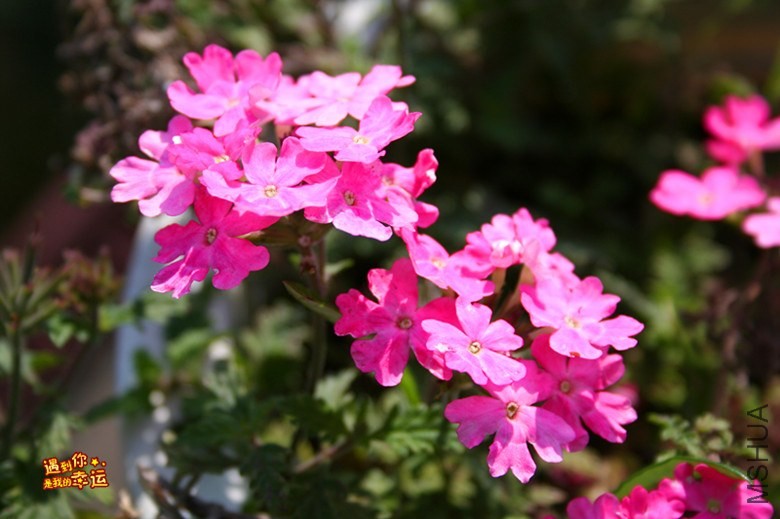 ��Ƭ 053_����.jpg