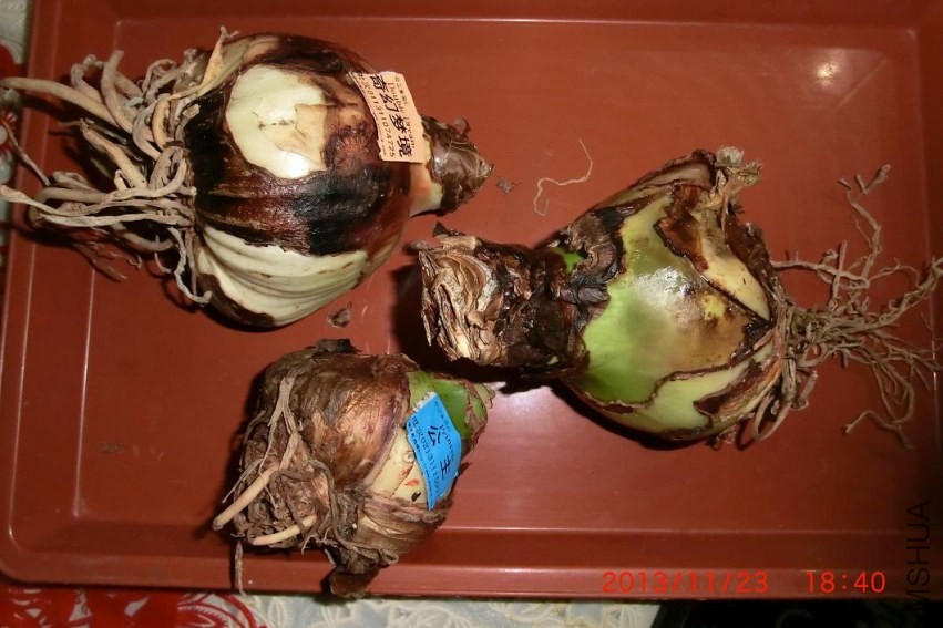 ����һ��